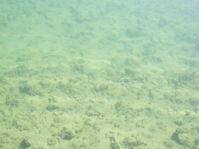 Прикрепленное изображение: IMG_0206.JPG